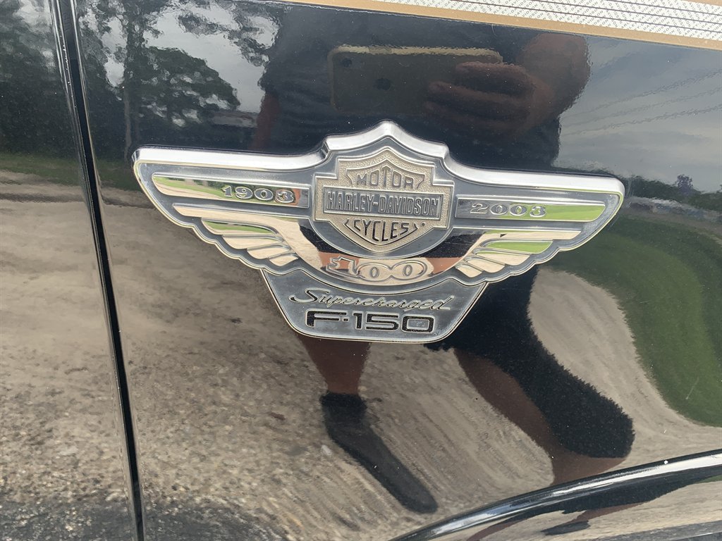 2003 Ford F-150 Harley-Davidson - Photo 15